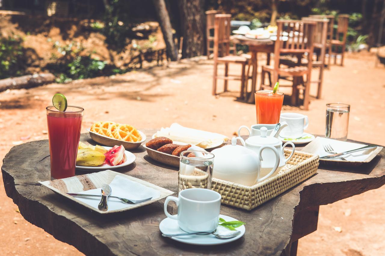 Ella Glamping Hotel Екстериор снимка