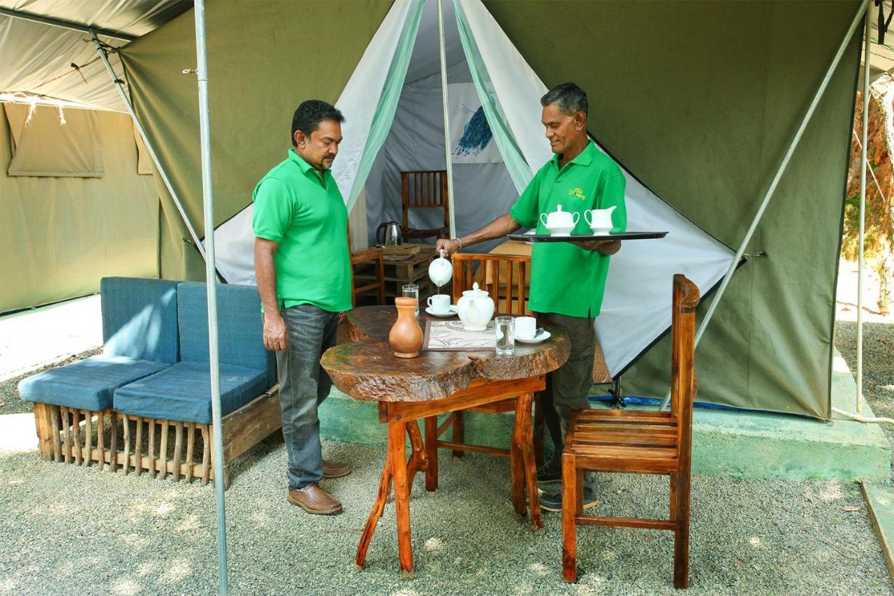 Ella Glamping Hotel Екстериор снимка